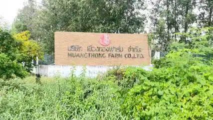 Muangthong Farm Project